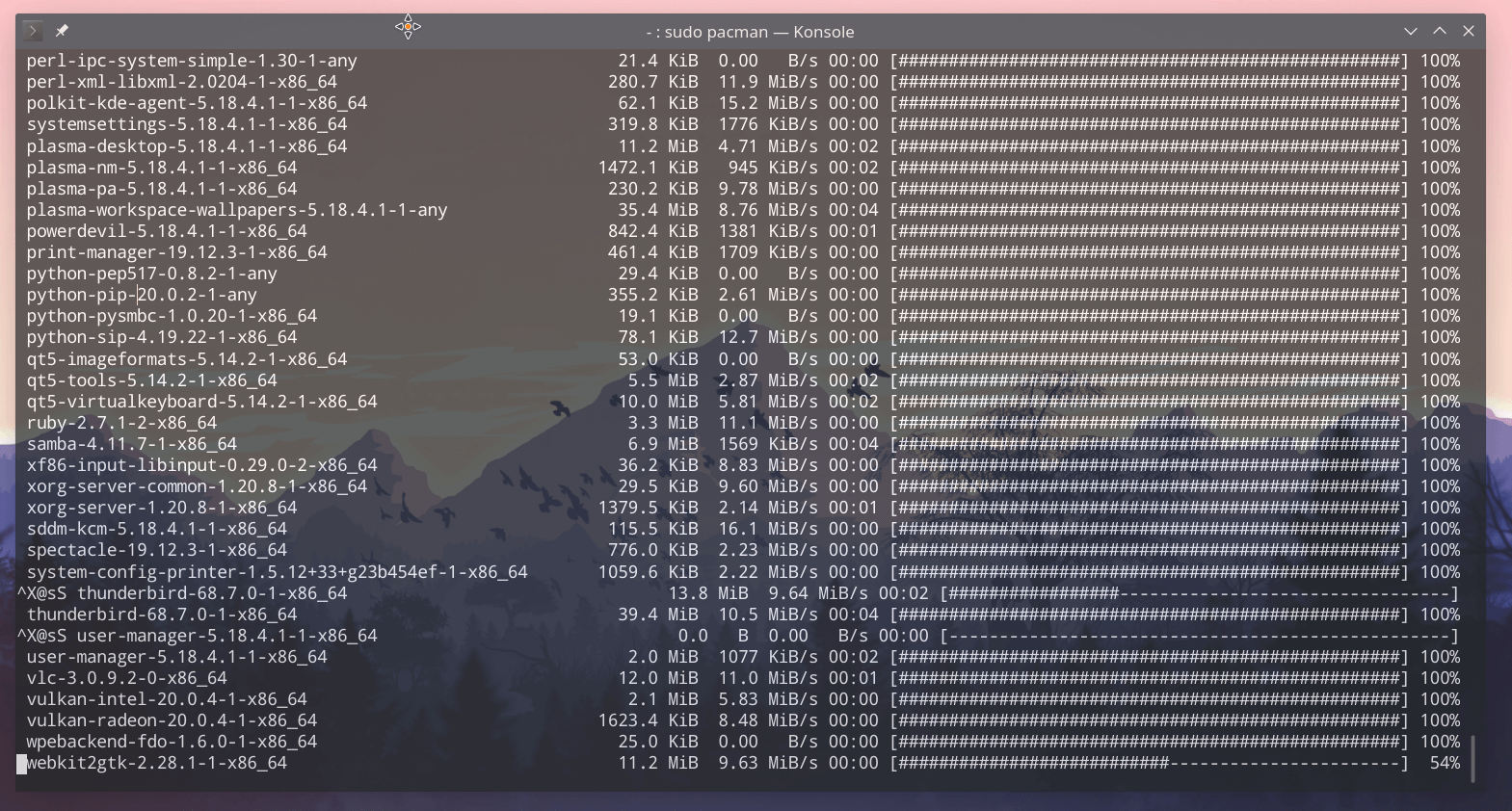 sudo pacman -Syyu 更新系统