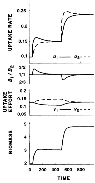 From Fig. 1 of Rastetter and Shaver (1992) - simulation with undepletable nutrients