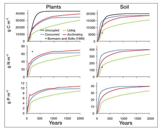 Fig. 2 in Rastetter (2011). Forest and soil nutrient accumulation under the four nutrient coupling models
