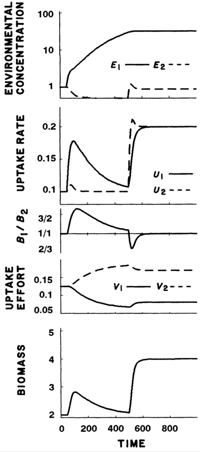 From Fig.2 Rastetter and Shaver (1992) - simulation with depletable nutrients