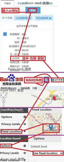 googleip