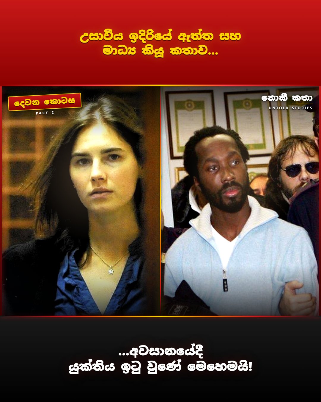 සම්පුර්ණ කතාව  - සුරංගනා හීනයක් අස්සේ හැංගුණු, ලෝකයක්ම රැවටුණු මහා අභිරහස: ඇමන්ඩා නොක්ස්ගේ අඳුරු කතාව - 2