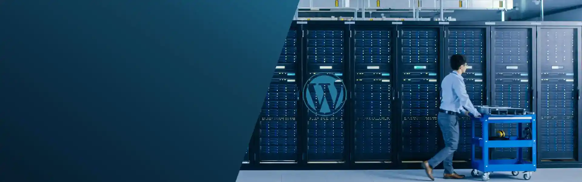 Wordpress Hosting