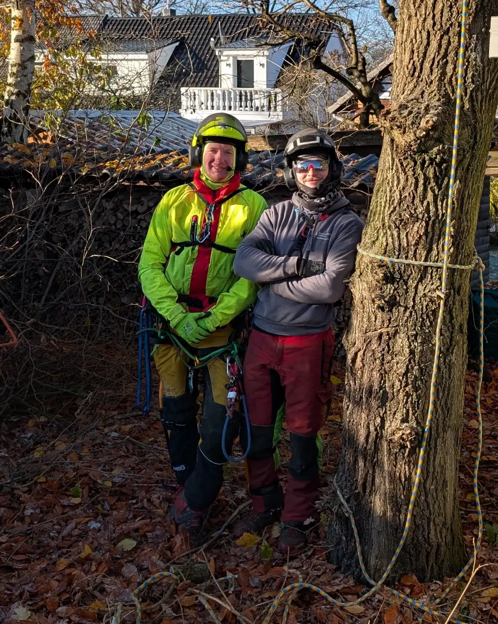 Informationen über die Seilklettertechnik von Baumpflege Trachte in Hamburg Volksdorf