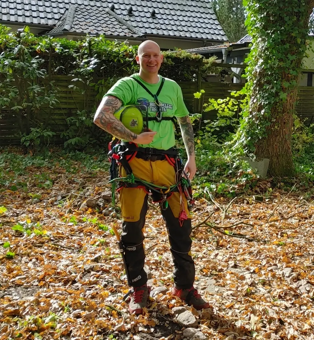 Fachgerechte Kronenpflege an einem Baum – professionelle Baumpflege durch Experten