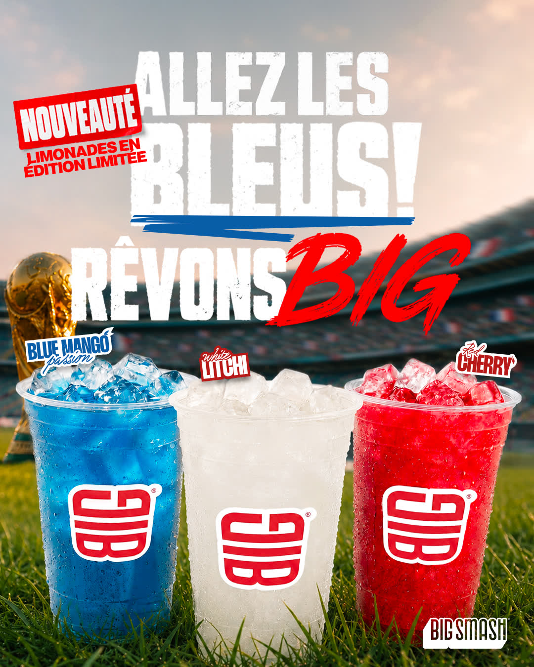 Allez les Bleus !