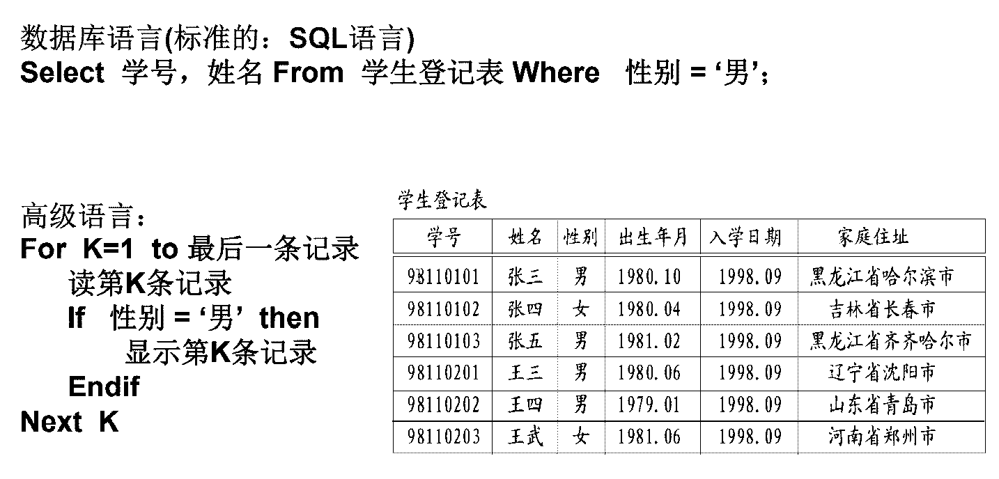 数据库语言