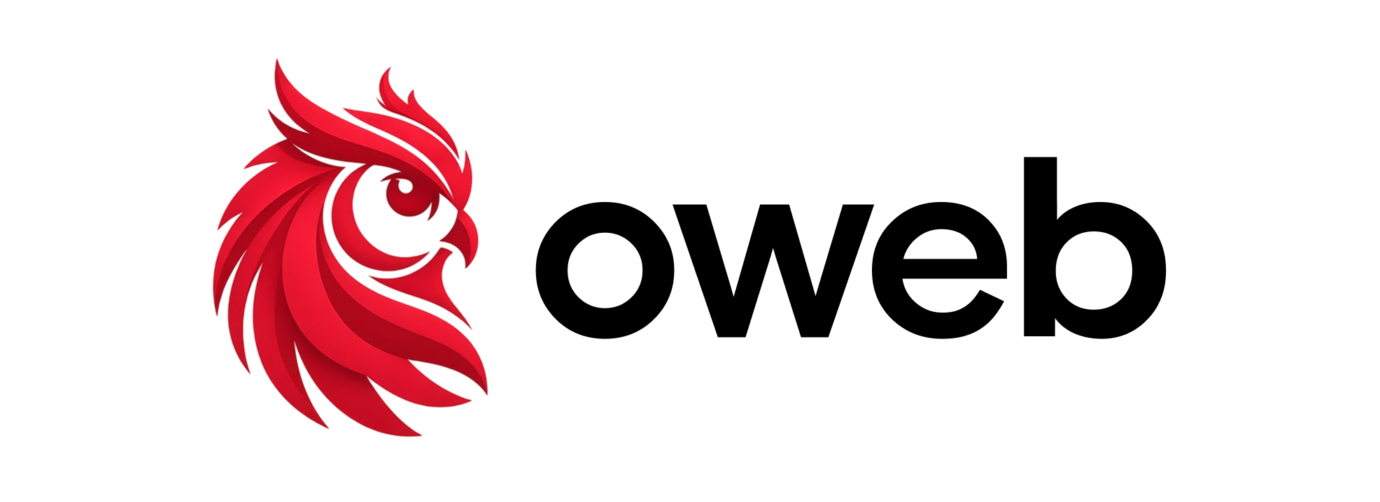 Oweb Organization Banner