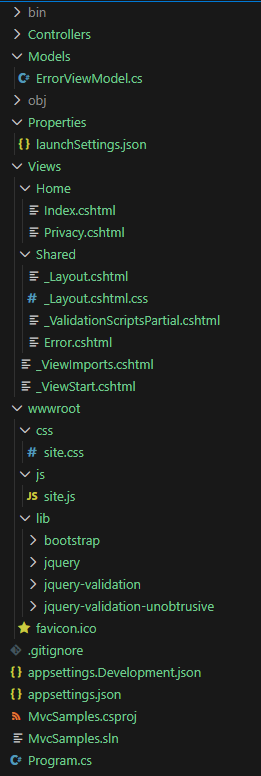 aps.net core mvc project