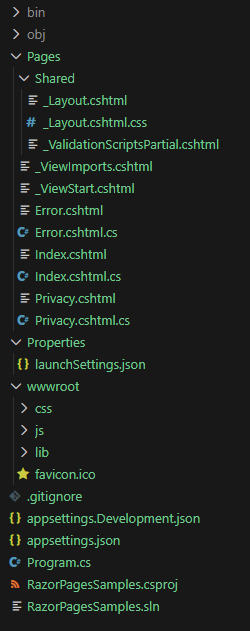 aps.net core razor pages project