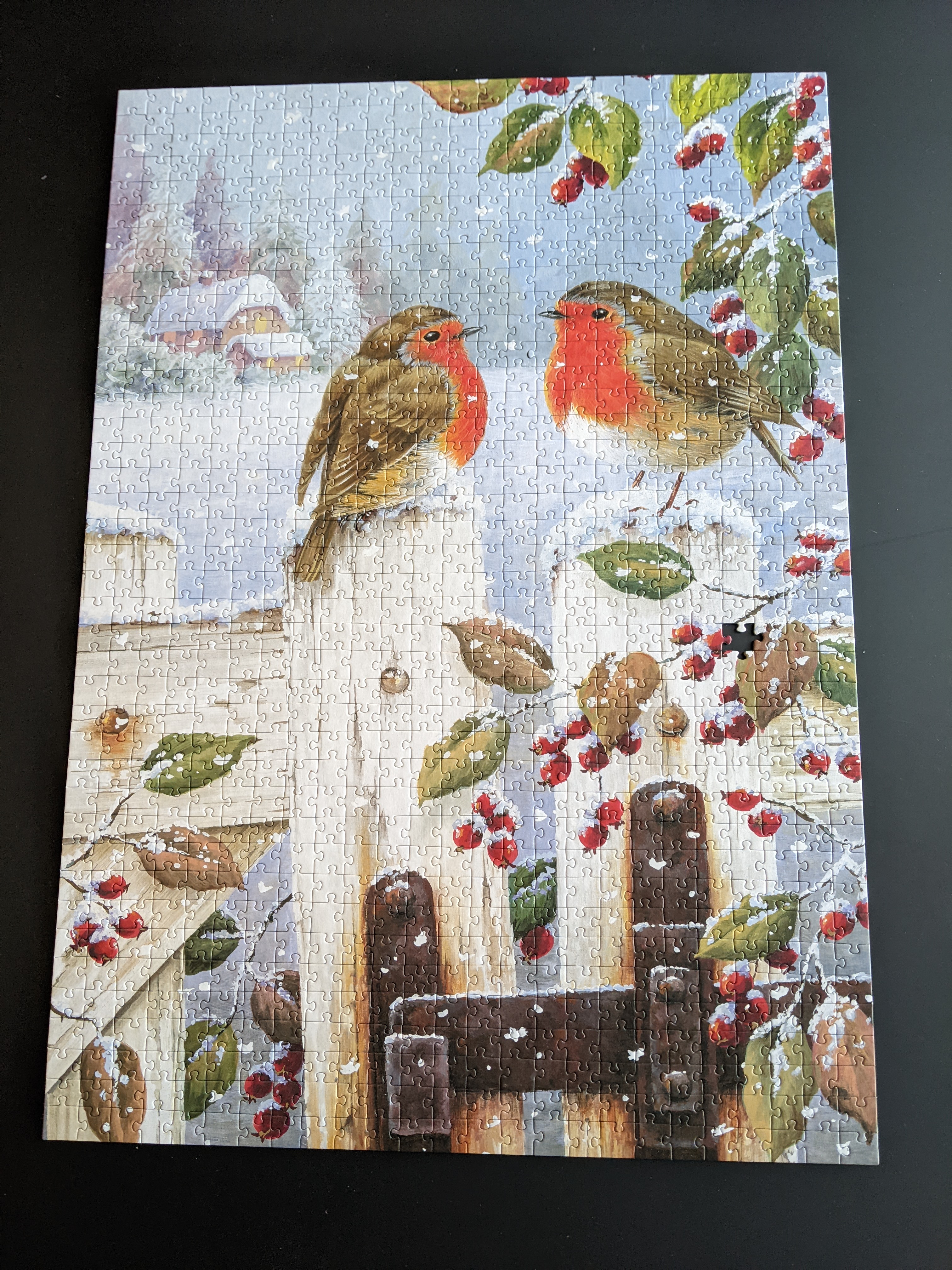 Birds