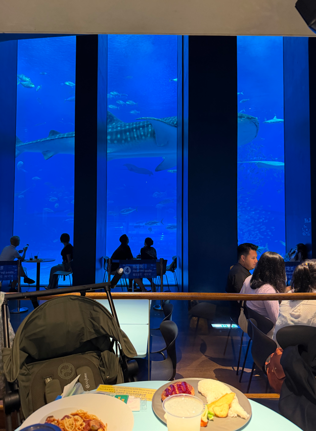 沖繩美麗海餐廳