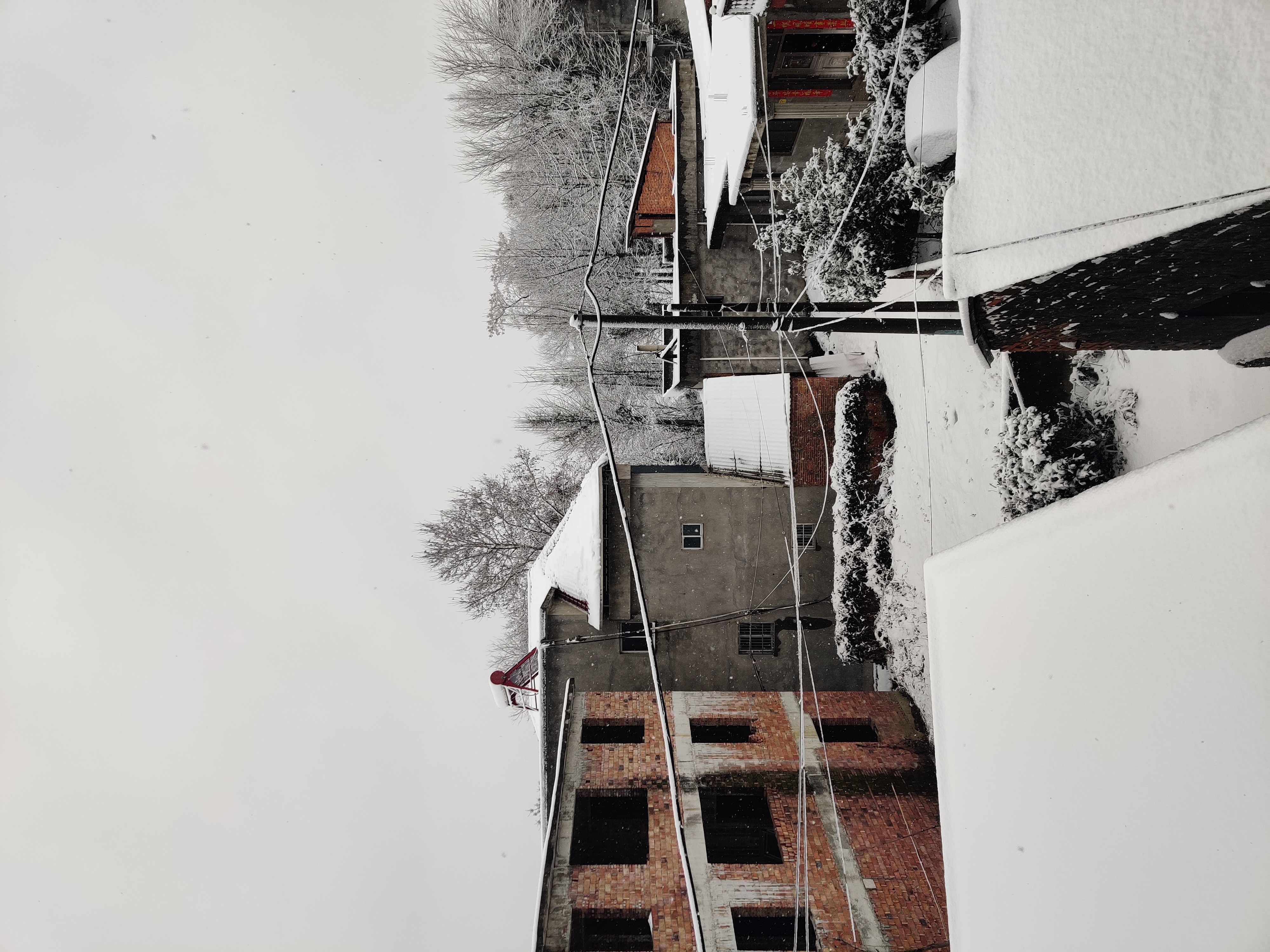 IMG_20220207_090222
