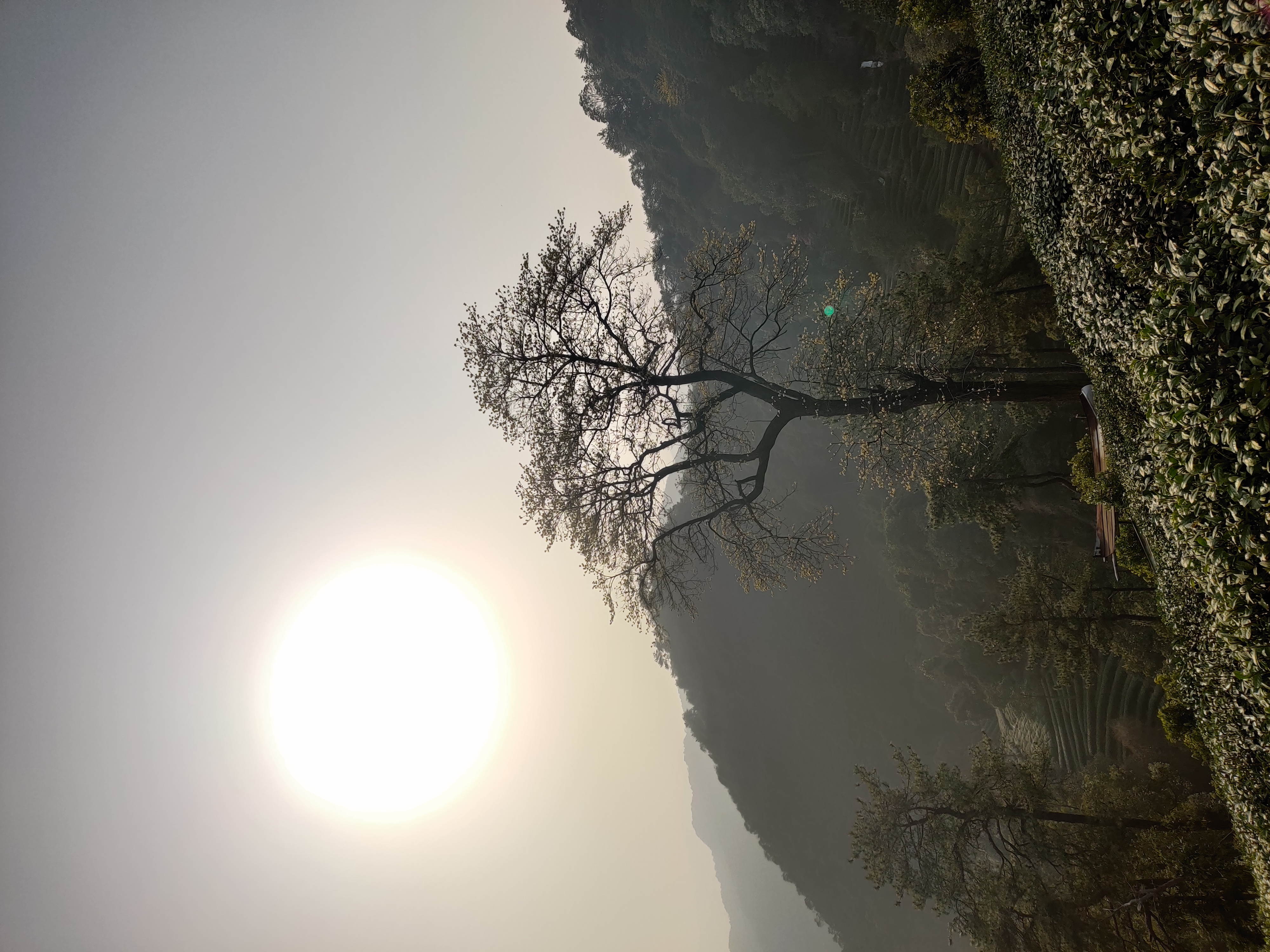 IMG_20220305_163102