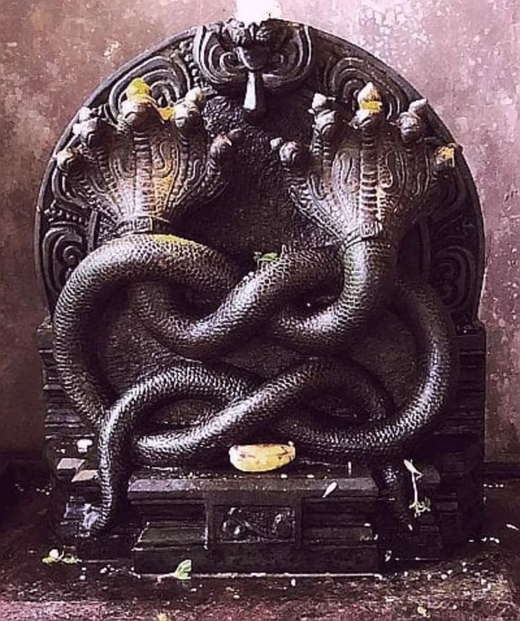 Image 24