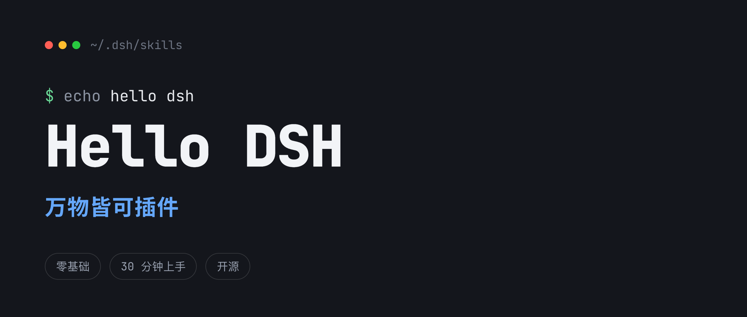 Hello DSH — Everything is a Plugin