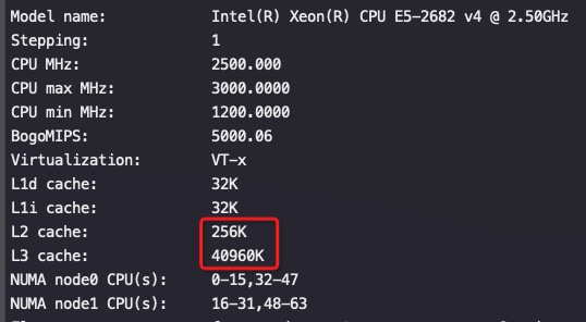 image-20210719102039296