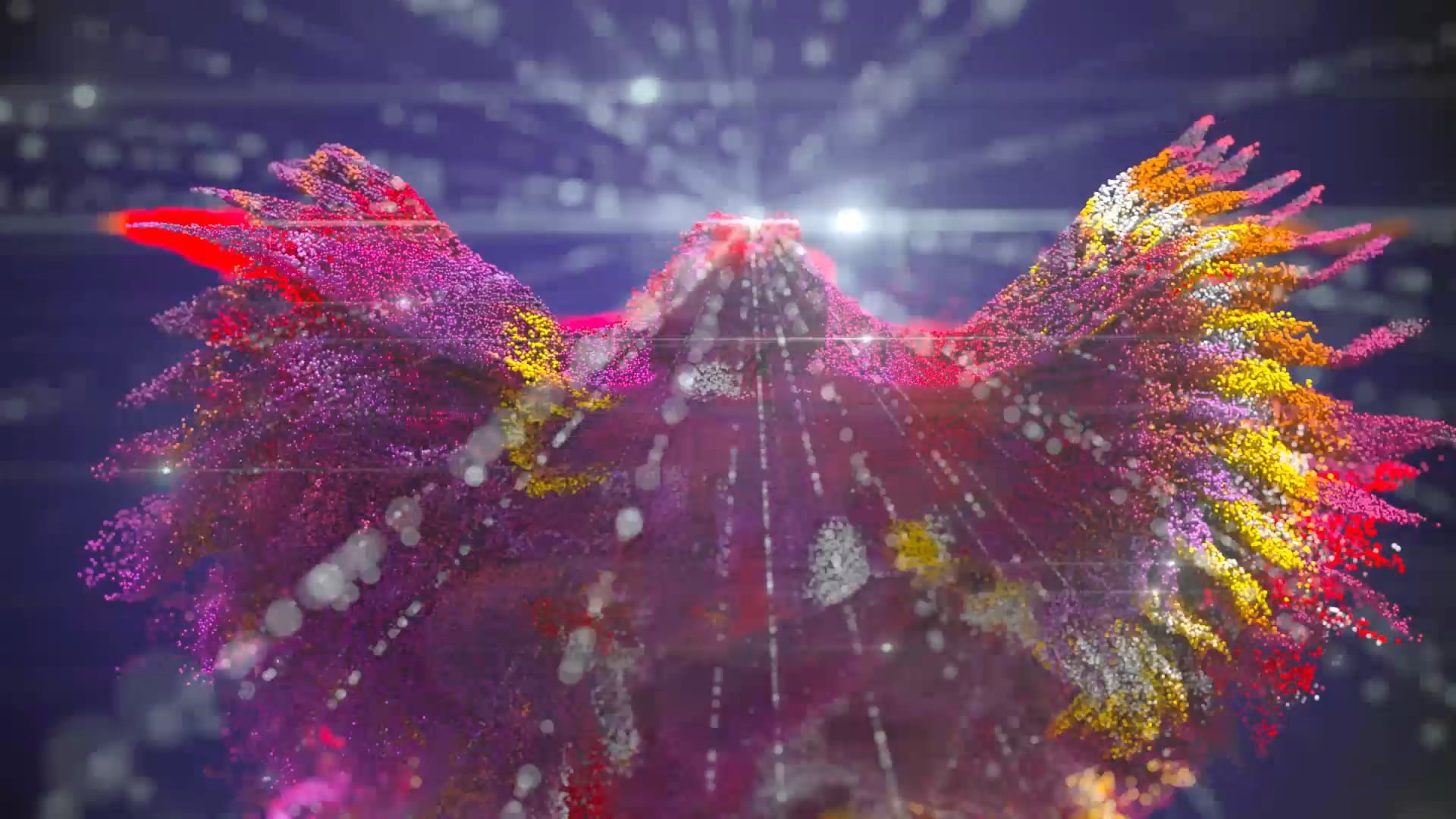 Flight Splash Intro