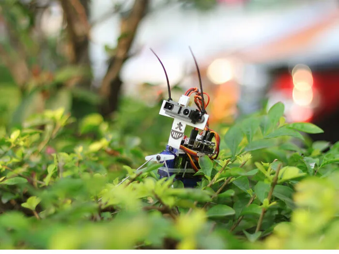 Insect bot