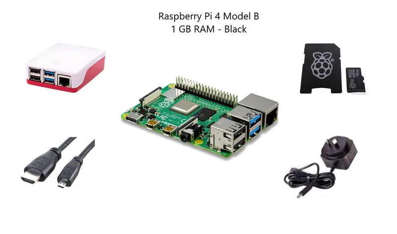 Pakronics® Raspberry Pi® 4 Model B 1 GB Starter Kit - Black
