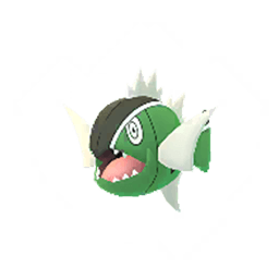 basculin white striped