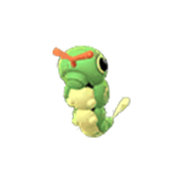 Caterpie