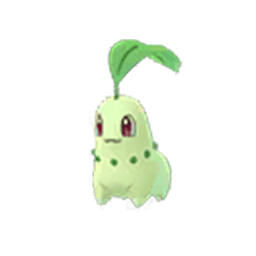 chikorita
