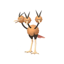 dodrio