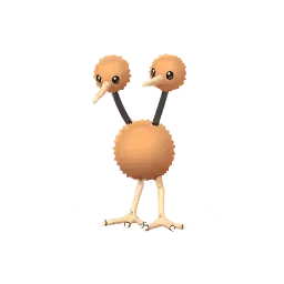 doduo
