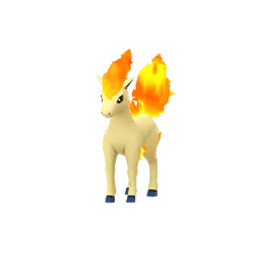 Ponyta