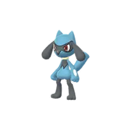 riolu