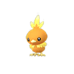 torchic