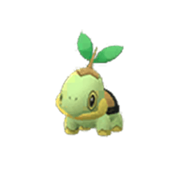 turtwig