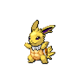 Jolteon / Squirtle