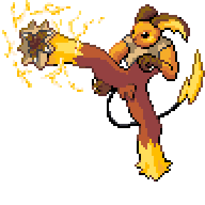 Raichu / Blaziken