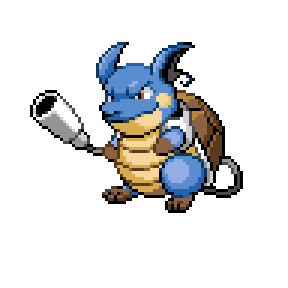 Blastoise / Raichu