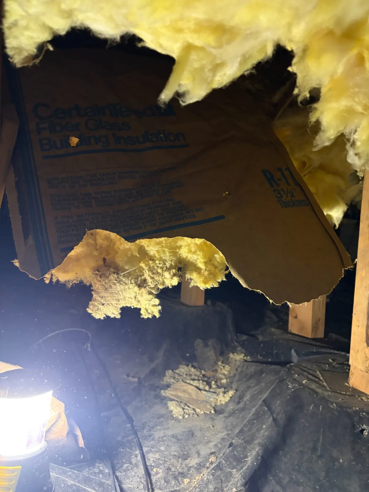 Crawl space insulation