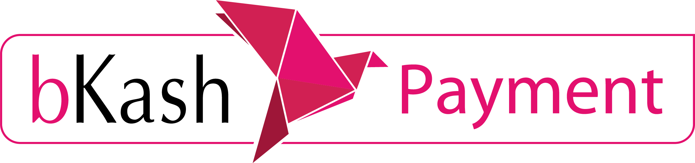 Secured Payment Partner