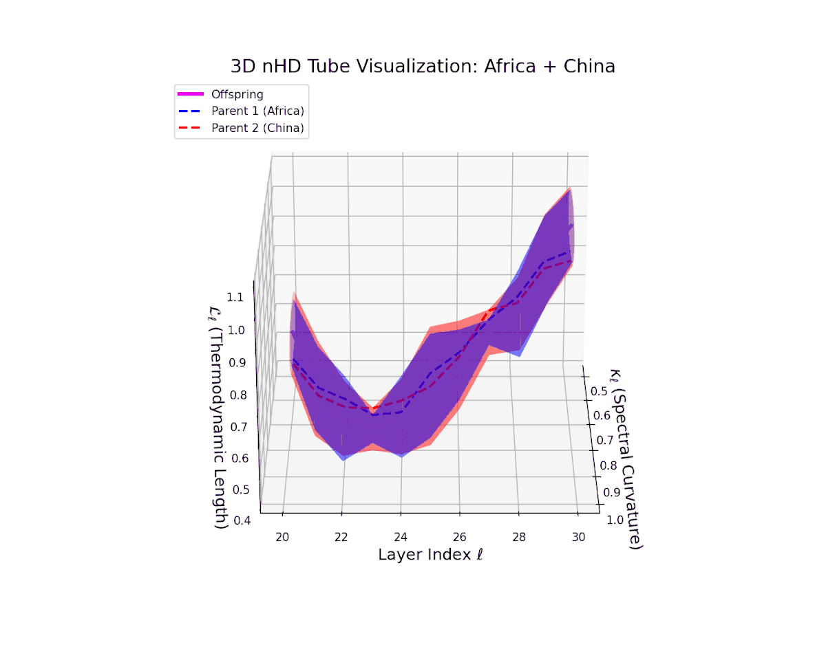 (II) Africa–China Fusion