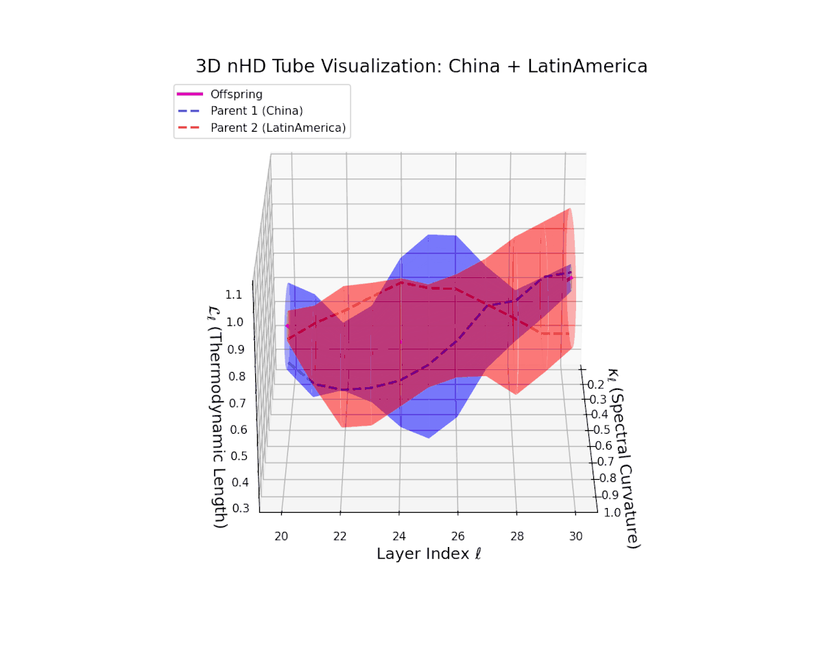 (XI) China–Latin America Fusion