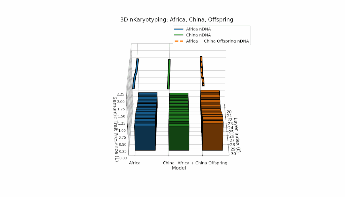 (II) Africa–China Semantic Chromosome Inheritance