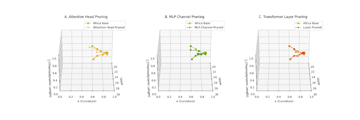 Three pruning strategy comparison plots for Africa-tuned model showing cultural sensitivity to compression