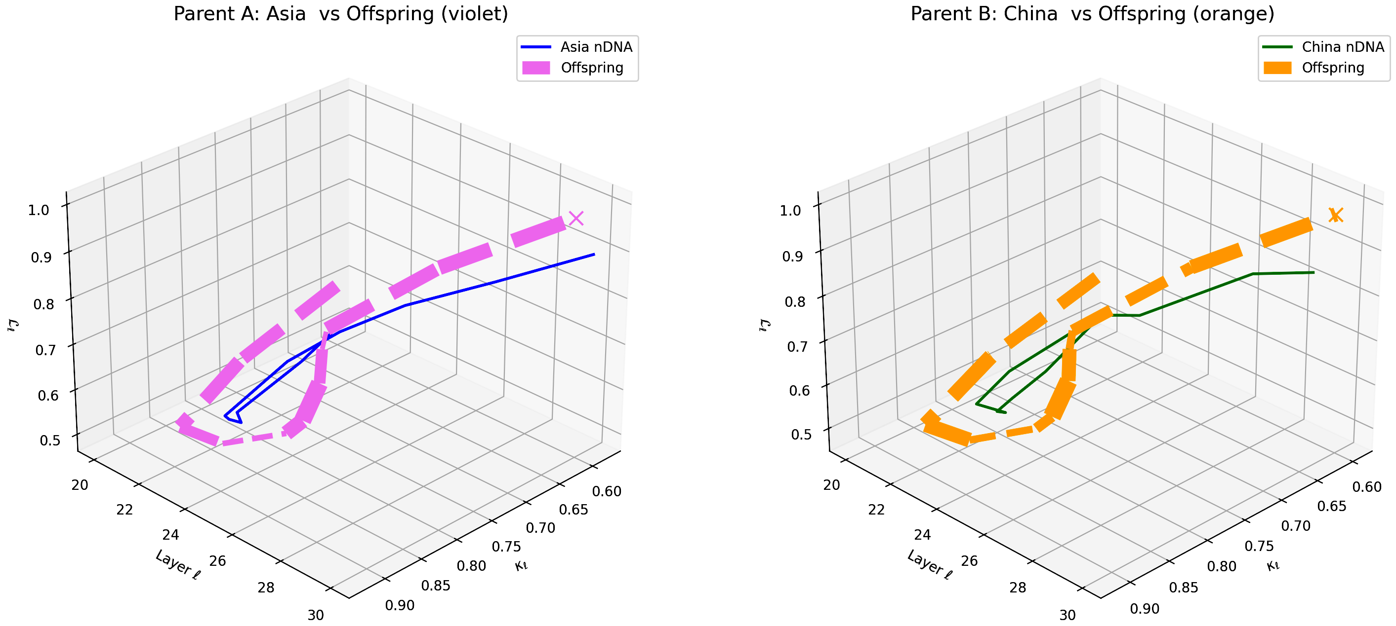 (e) Layerwise nGDI Trajectories for Asia–China Offspring