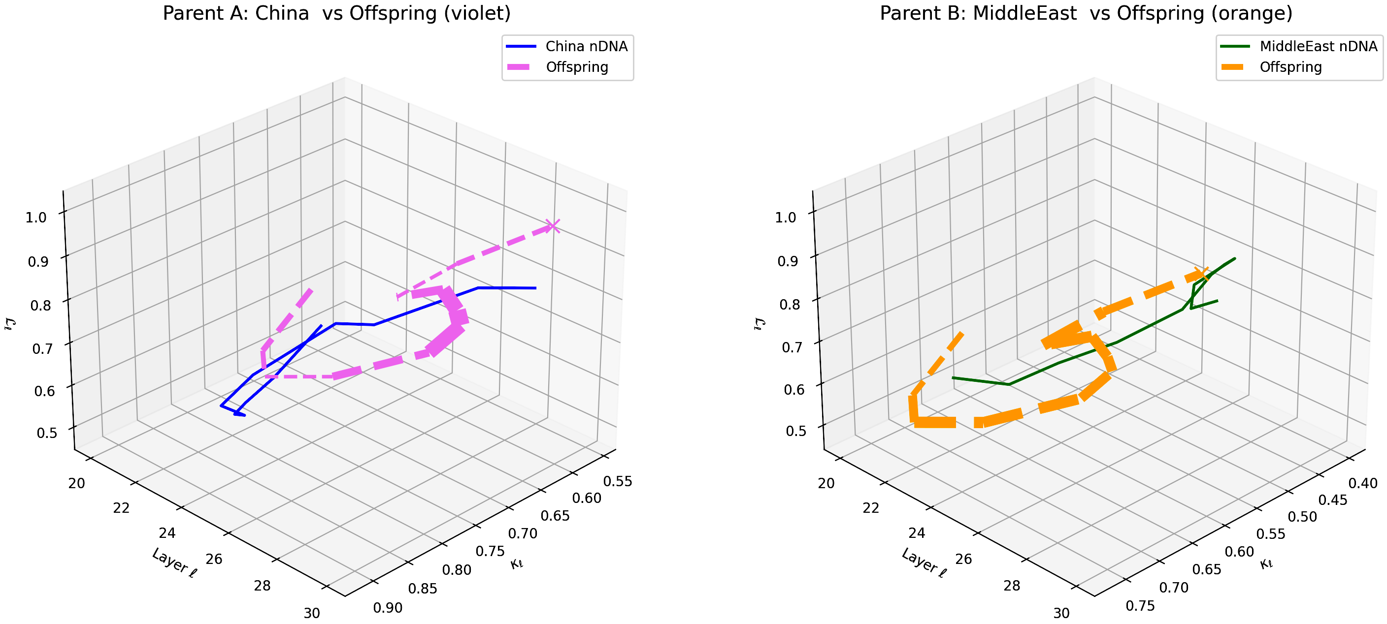 (n) Layerwise nGDI Trajectories for China–Middle East Offspring
