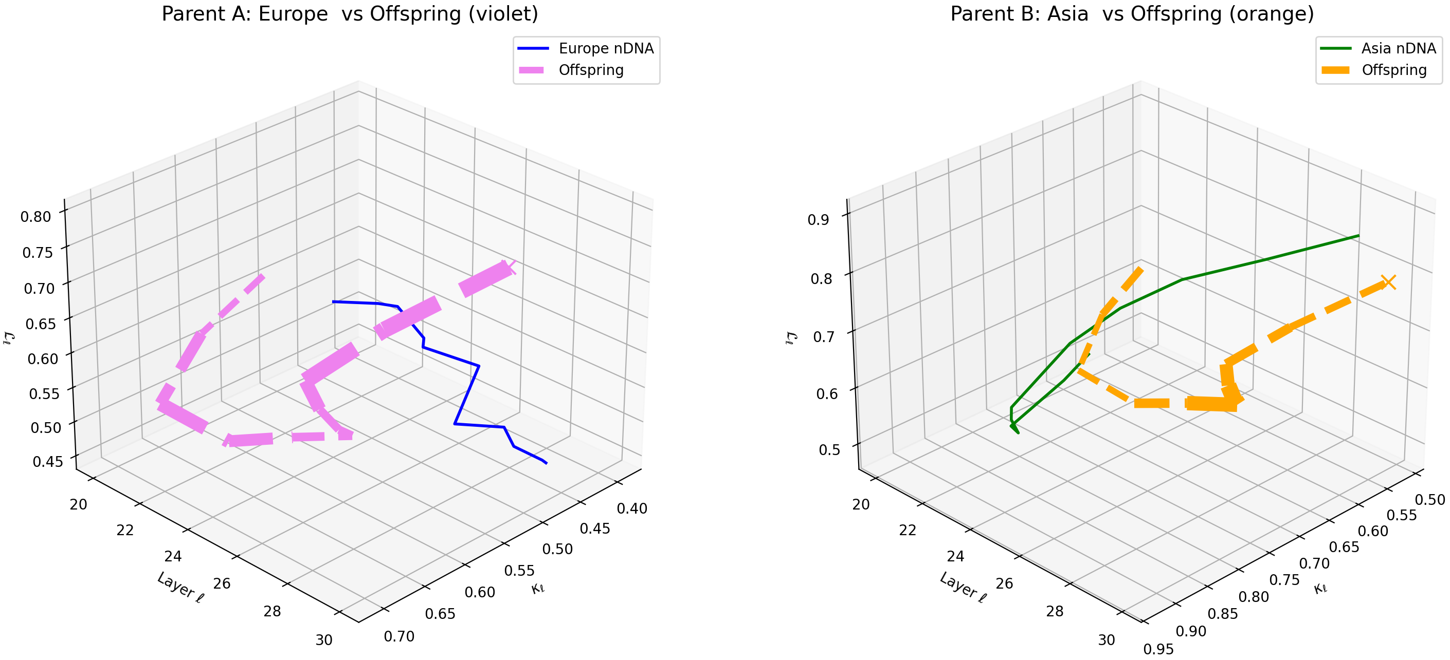 (p) Layerwise nGDI Trajectories for Europe–Asia Offspring