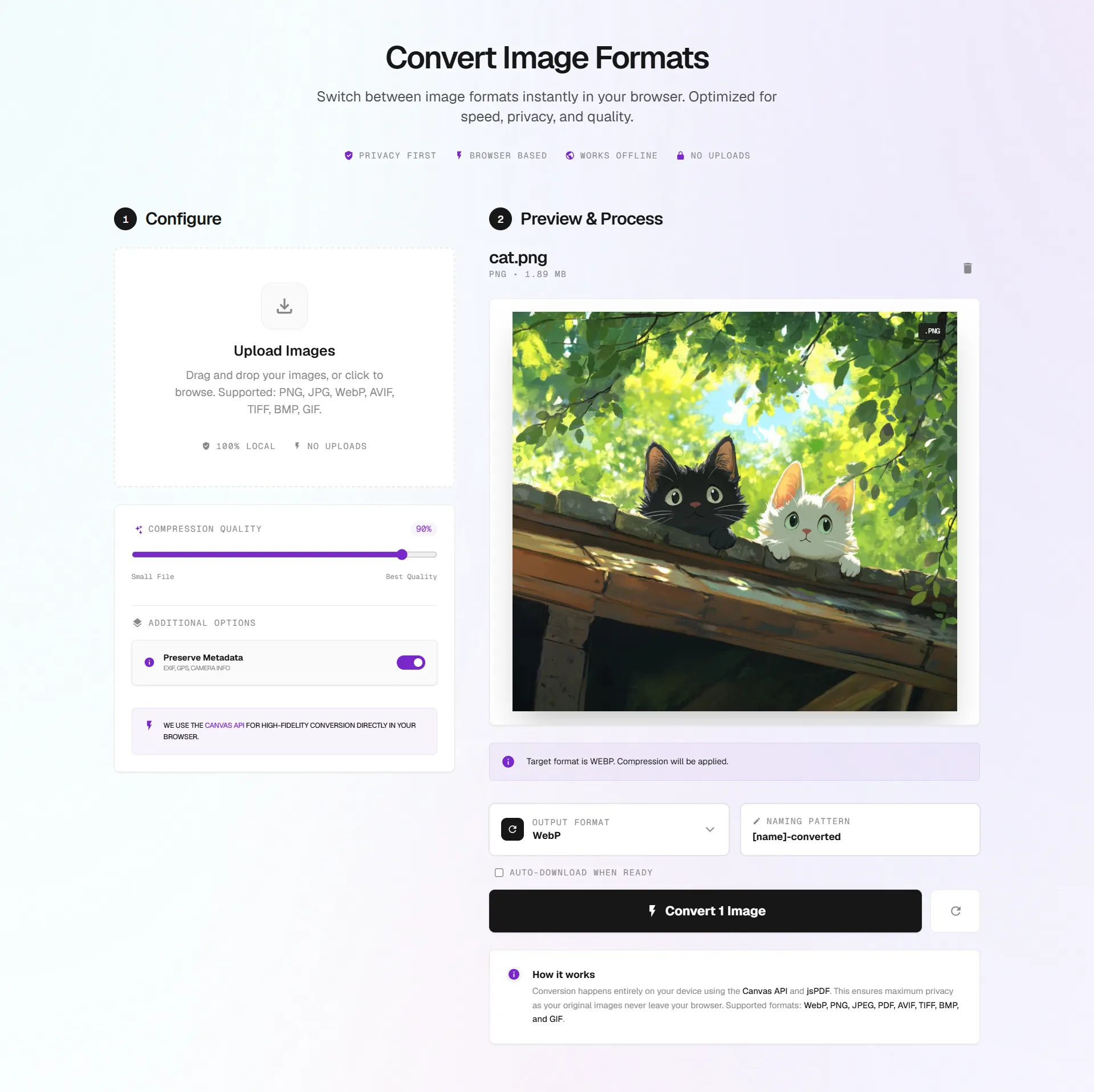 Beyond the Pixel: Navigating the World of Image Formats