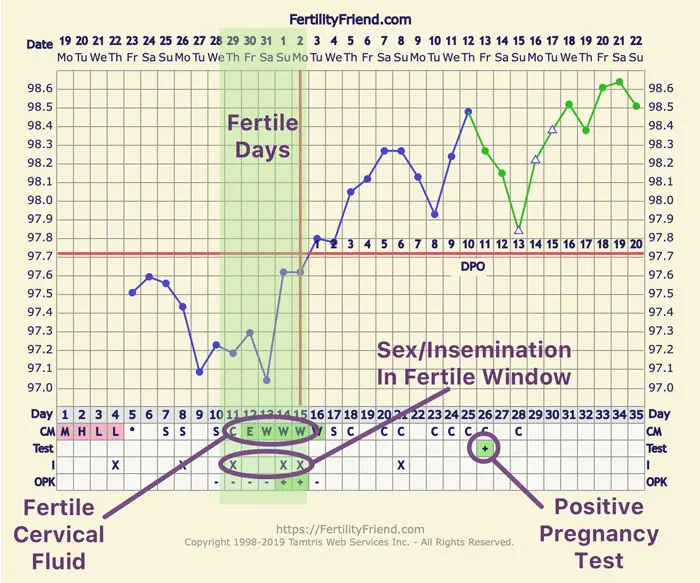 Gráfico de fertilidade (método sintotermal) mostrando os dias férteis