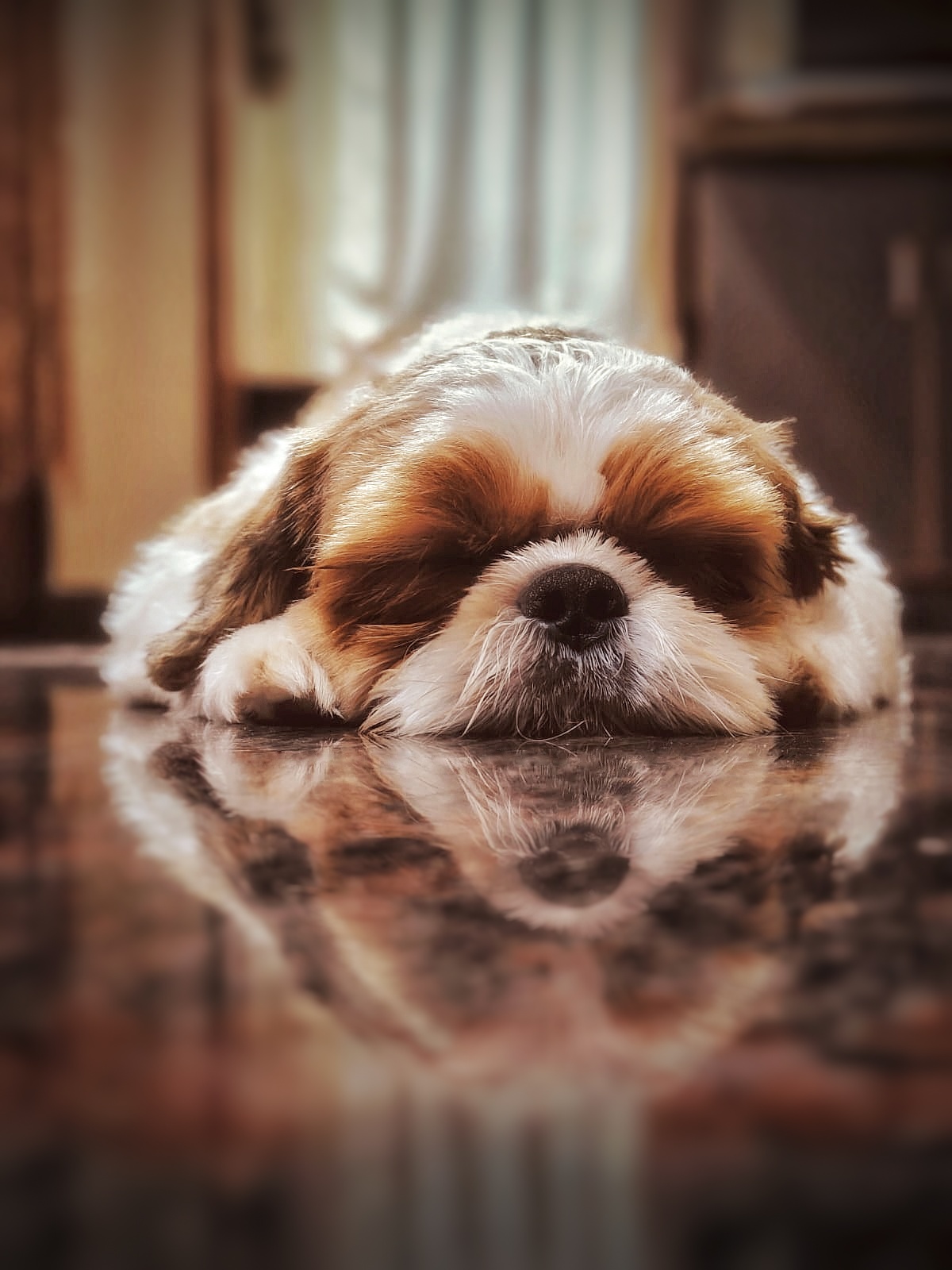 Soft Aesthetic Background