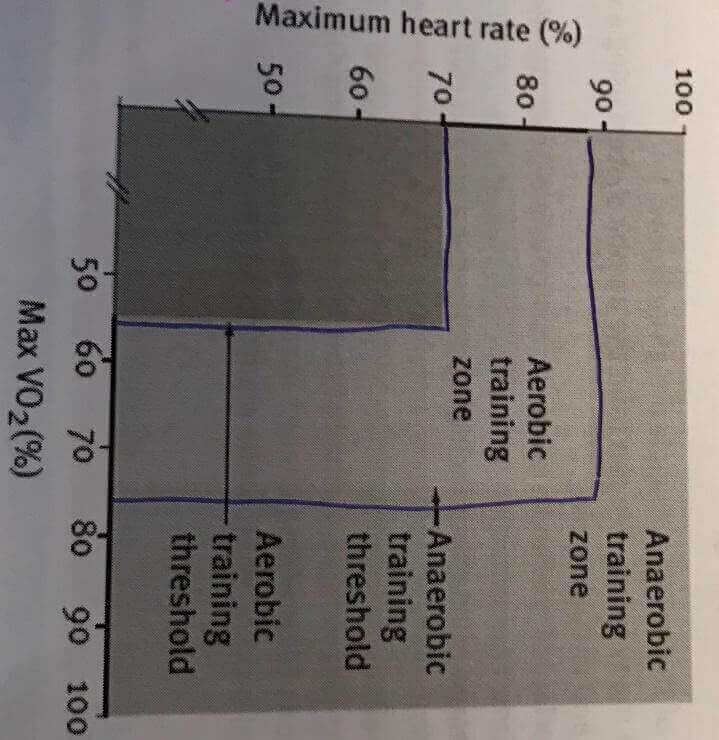 Factors Affecting Performance