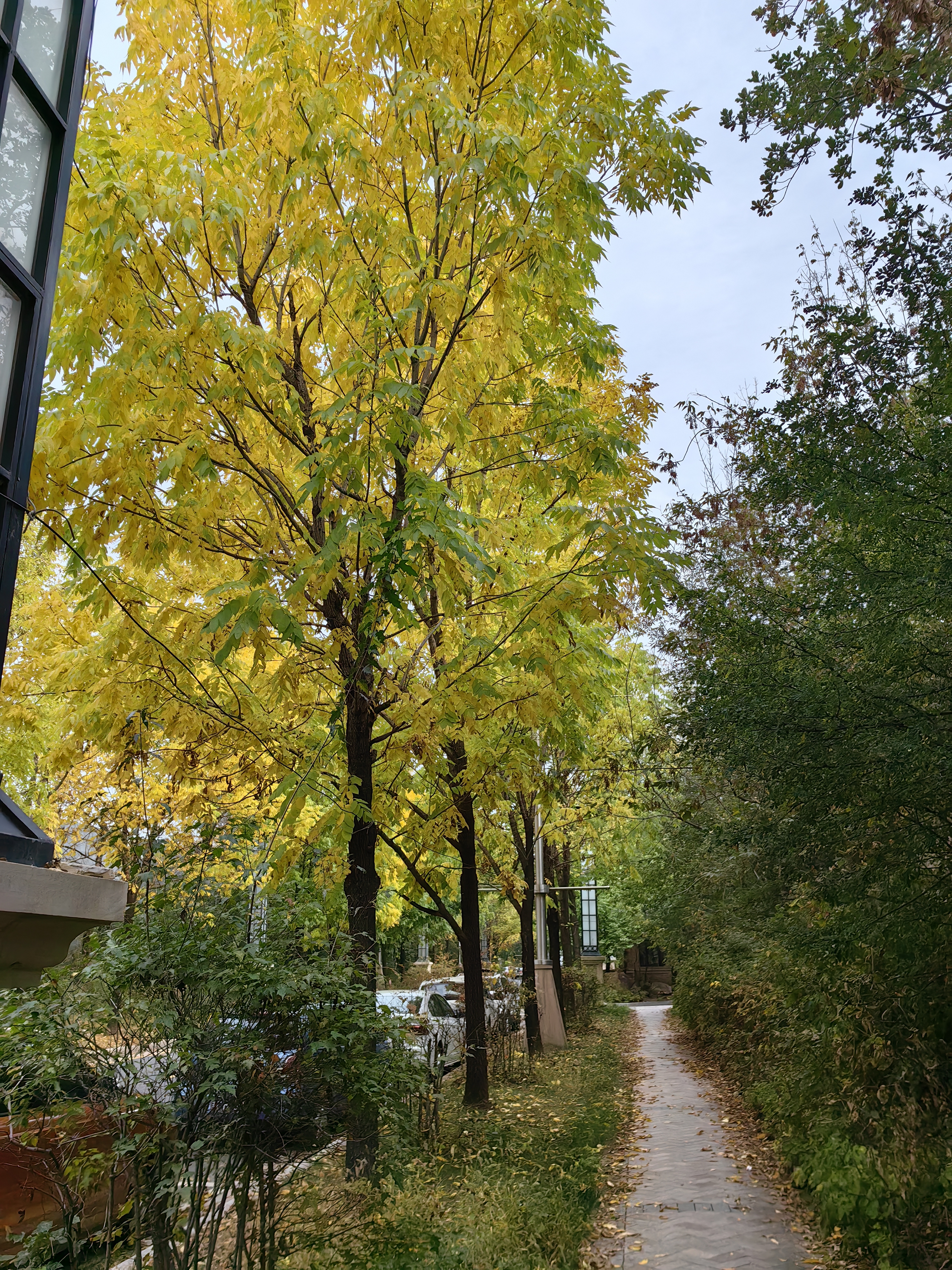 卧槽秋天来了啊！